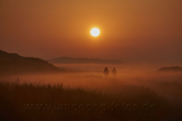 Sonnenaufgang im Nebel (Nr. EN4458)